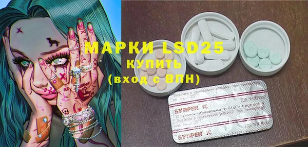 индика Инсар