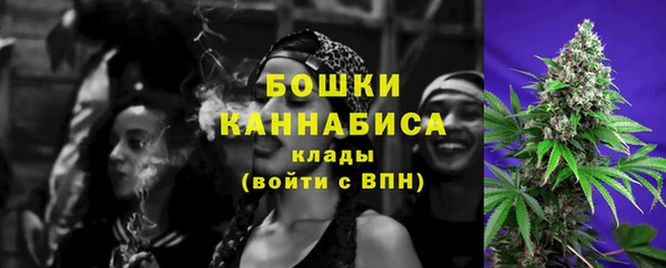 индика Инсар