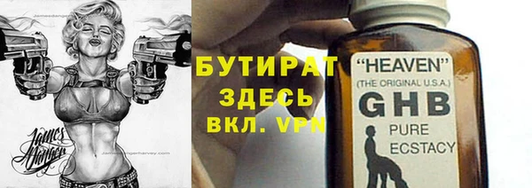 индика Инсар