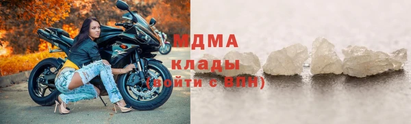 индика Инсар