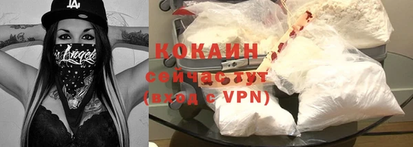 индика Инсар