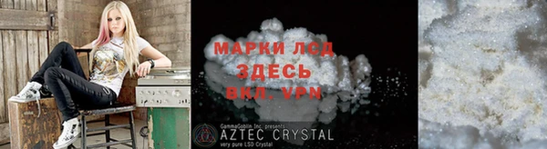 ALPHA PVP Иннополис
