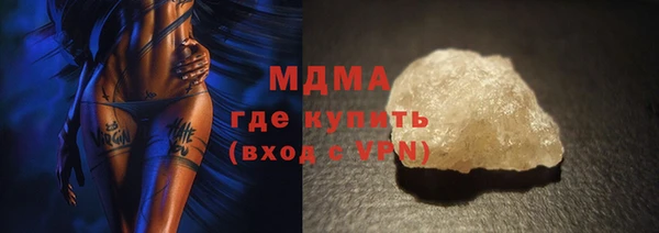 индика Инсар