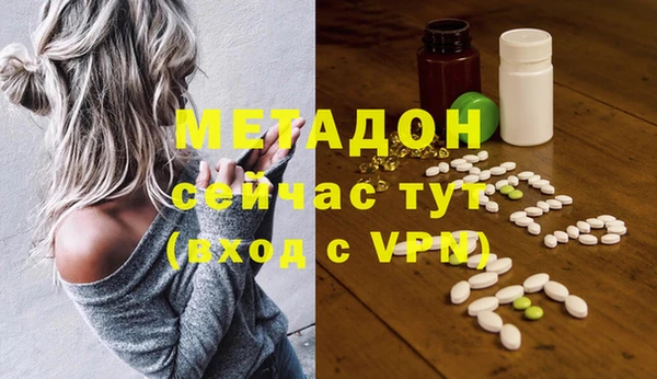индика Инсар
