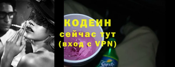 индика Инсар