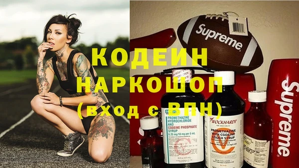 индика Инсар