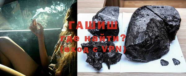 индика Инсар