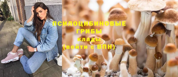 индика Инсар