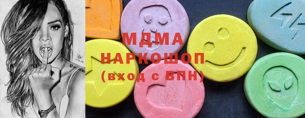 индика Инсар