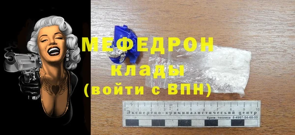индика Инсар
