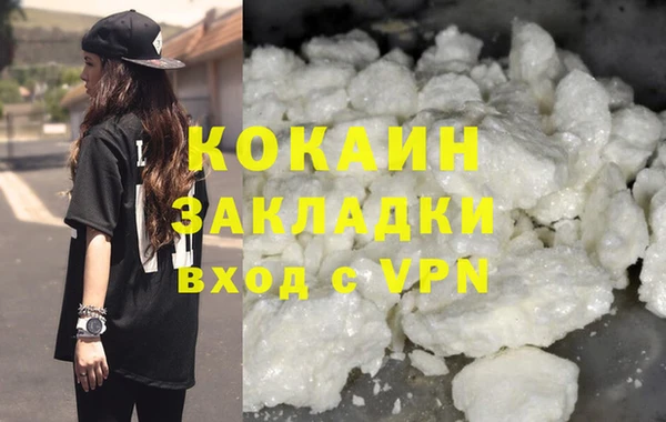 индика Инсар
