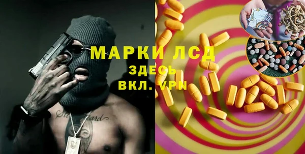 индика Инсар