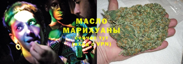 индика Инсар