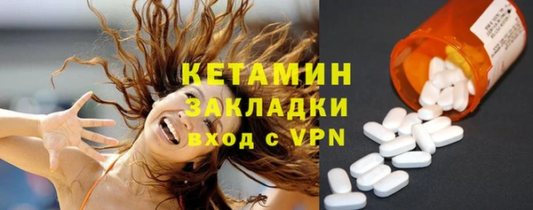 индика Инсар