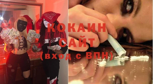 индика Инсар