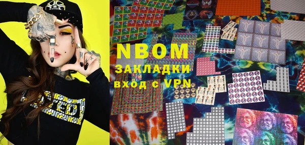 индика Инсар